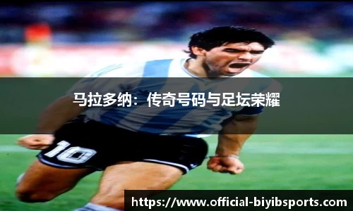 必一运动b体育官网