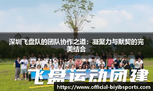 必一运动b体育官网